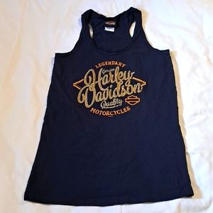 Harley Davidson Hells Canyon tank